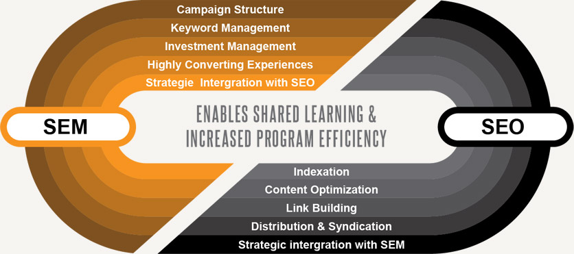 SEM/SEO